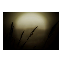 Weizen bei Sonnenuntergang Poster