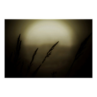 Weizen bei Sonnenuntergang Poster