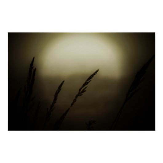 Weizen bei Sonnenuntergang Poster (Vorderseite)