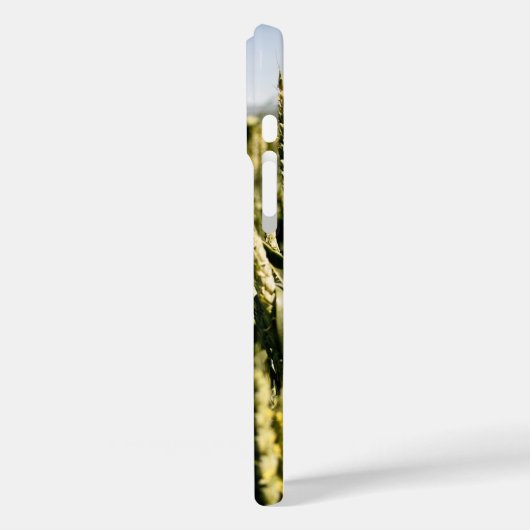 Weizen Case-Mate iPhone Hülle (Rückseite / Links)