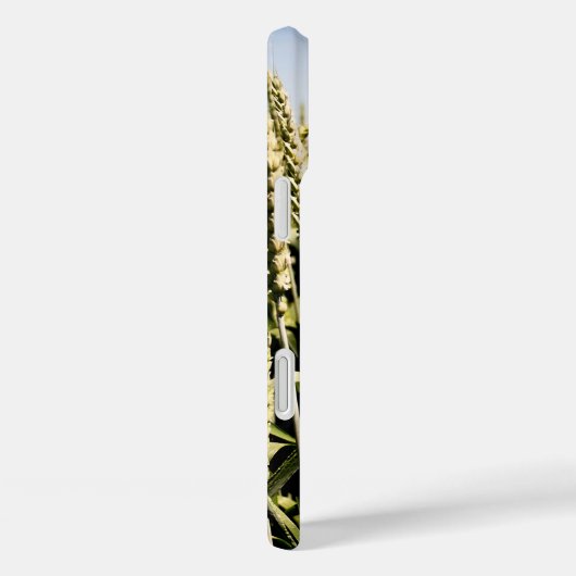 Weizen Case-Mate iPhone Hülle (Rückseite / Rechts)