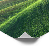 Weizen entspannen in den Hügeln des Palouse Poster (Ecke)