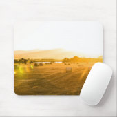 Weizen-Feld | Dornoch, Nordschottland, Mousepad (Mit Mouse)