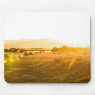 Weizen-Feld   Dornoch, Nordschottland, Mousepad