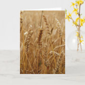 Weizen-Feld Karte (Gelbe Blume)