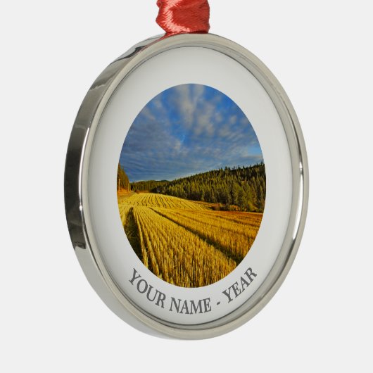 Weizen-Feld nach Ernte 2 Silbernes Ornament (Rechts)