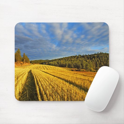 Weizen-Feld nach Ernte Mousepad (Mit Mouse)
