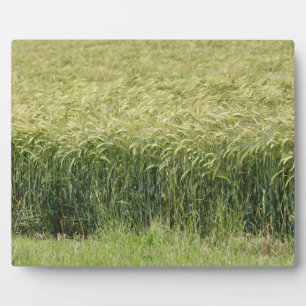 Weizen - Geschmackvoll! Fotoplatte