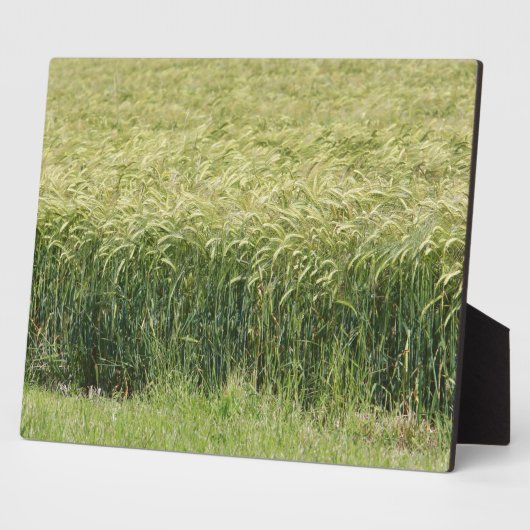 Weizen - Geschmackvoll! Fotoplatte (Seite)