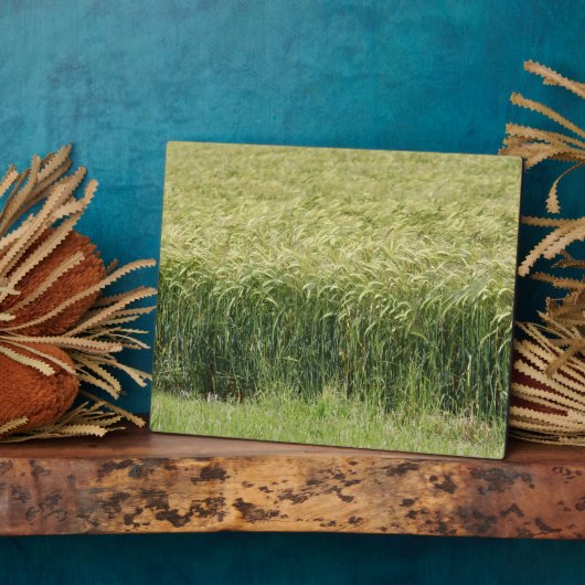 Weizen - Geschmackvoll! Fotoplatte (Seite)