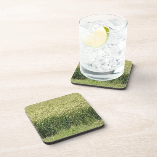 Weizen - Geschmackvoll! Getränkeuntersetzer (Rechte Seite)