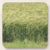 Weizen - Geschmackvoll! Getränkeuntersetzer (Vorderseite)