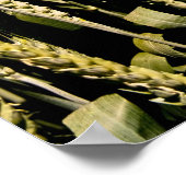 Weizen Poster (Ecke)