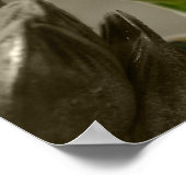 Weizen Poster (Ecke)