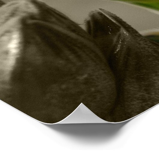 Weizen Poster (Ecke)