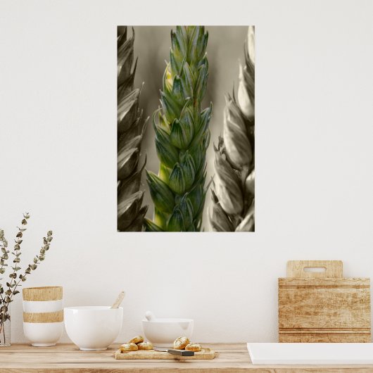 Weizen Poster (Küche)