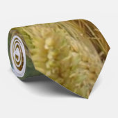 Weizen-Samen Krawatte (Gerollt)