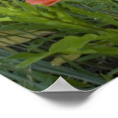 Weizen und Pflaumen Poster (Ecke)