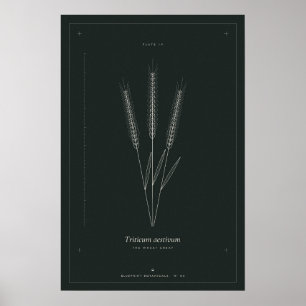 Weizenähre Botanische Linienkunst Poster, Dunkle A Poster