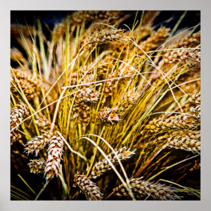 Weizenblatt - Danke Poster