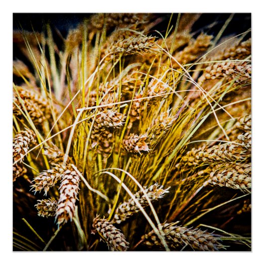 Weizenblatt - Danke Poster (Vorderseite)