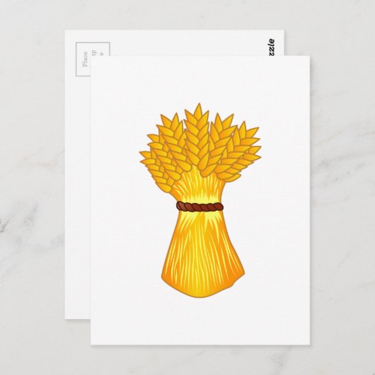 Weizenbündel Postkarte (Vorne/Hinten)