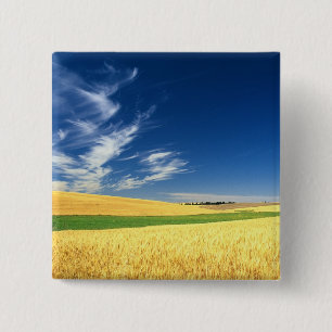 Weizenernte auf dem Palouse im Osten Button