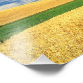 Weizenernte auf dem Palouse im Osten Fotodruck (Ecke)