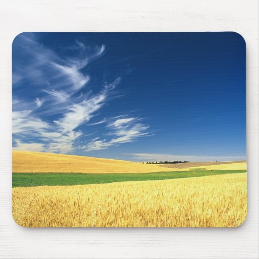 Weizenernte auf dem Palouse im Osten Mousepad (Vorne)