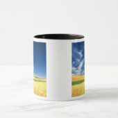 Weizenernte auf dem Palouse im Osten Tasse (Zentrum)