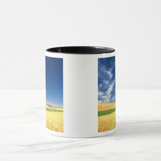 Weizenernte auf dem Palouse im Osten Tasse (Zentrum)