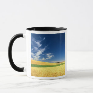 Weizenernte auf dem Palouse im Osten Tasse