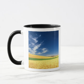Weizenernte auf dem Palouse im Osten Tasse