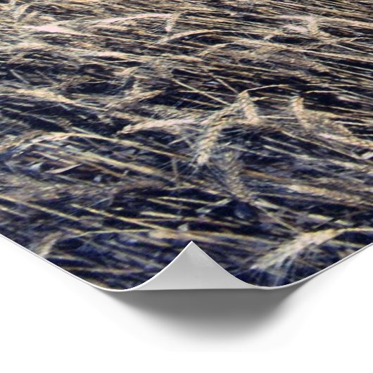 Weizenernte Poster (Ecke)