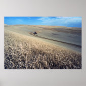 Weizenernte Poster (Vorne)