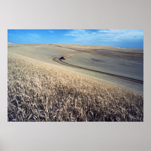 Weizenernte Poster (Vorne)