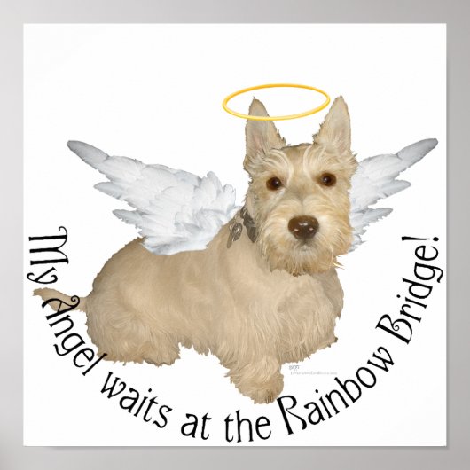 Weizenfarbene Scottish-Terrier-Engel Poster (Vorne)