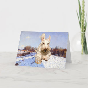 Weizenfarbene Scottish Terrier Grußkarte Karte