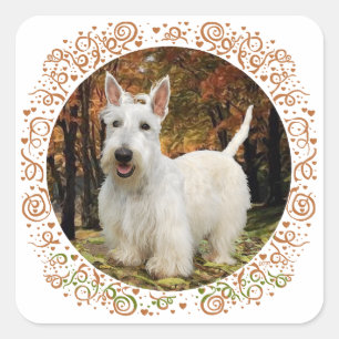 Weizenfarbener Schottischer Terrier Herbst Quadratischer Aufkleber
