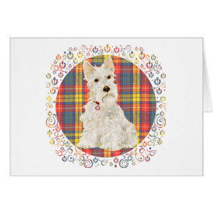 Weizenfarbener Scottie auf Buchanan-Tartan