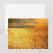 Weizenfeld bei Sonnenuntergang, Postkarte (Vorne/Hinten)
