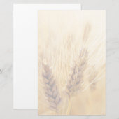 Weizenfeld Briefpapier (Vorne/Hinten)