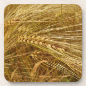 Weizenfeld. Es ist ernte Zeit! Getränkeuntersetzer (Vorderseite)