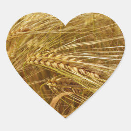 Weizenfeld. Es ist ernte Zeit! Herz-Aufkleber