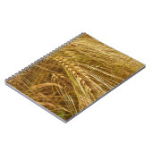 Weizenfeld. Es ist ernte Zeit! Notizblock (Linke Seite)