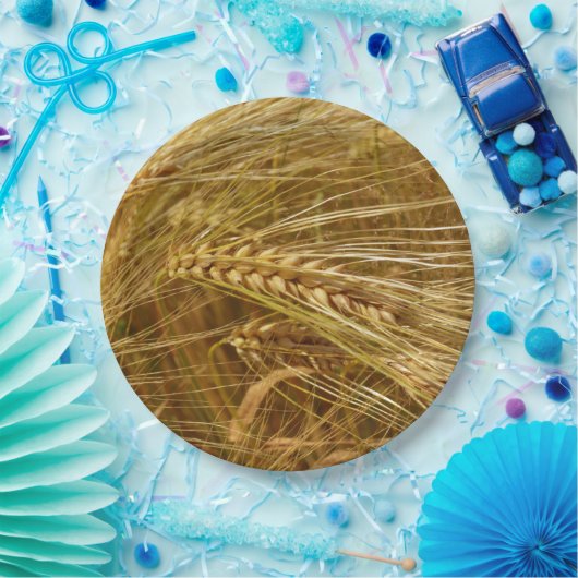 Weizenfeld. Es ist ernte Zeit! Pappteller (Party)