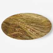 Weizenfeld. Es ist ernte Zeit! Pappteller (Schrägansicht)