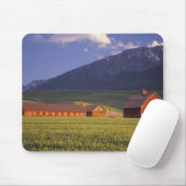 Weizenfeld im Wallowa Tal, gerade draußen Mousepad (Mit Mouse)