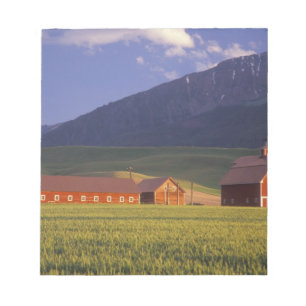 Weizenfeld im Wallowa Tal, gerade draußen Notizblock