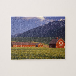 Weizenfeld im Wallowa-Tal, kurz außerhalb Puzzle